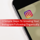 3 simple steps to growing your Instagram following organically