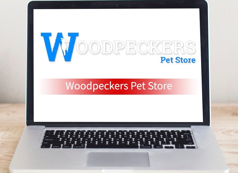 Woodpeckers Pet Store – SOS Creativity Case Study